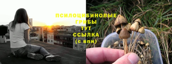 бошки Лагань