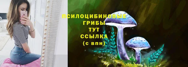 СК Лиски