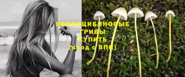 jwh Липки