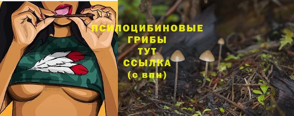 бошки Лагань