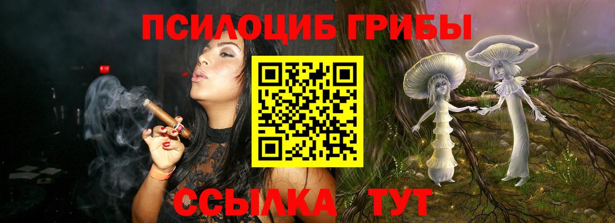 Псилоцибиновые грибы Psilocybe  Вход с VPN  Чита  Псилоцибиновые грибы мицелий 