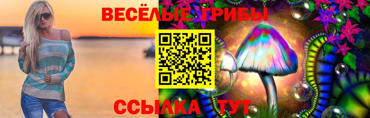 Псилоцибиновые грибы Psilocybine cubensis  Чита 